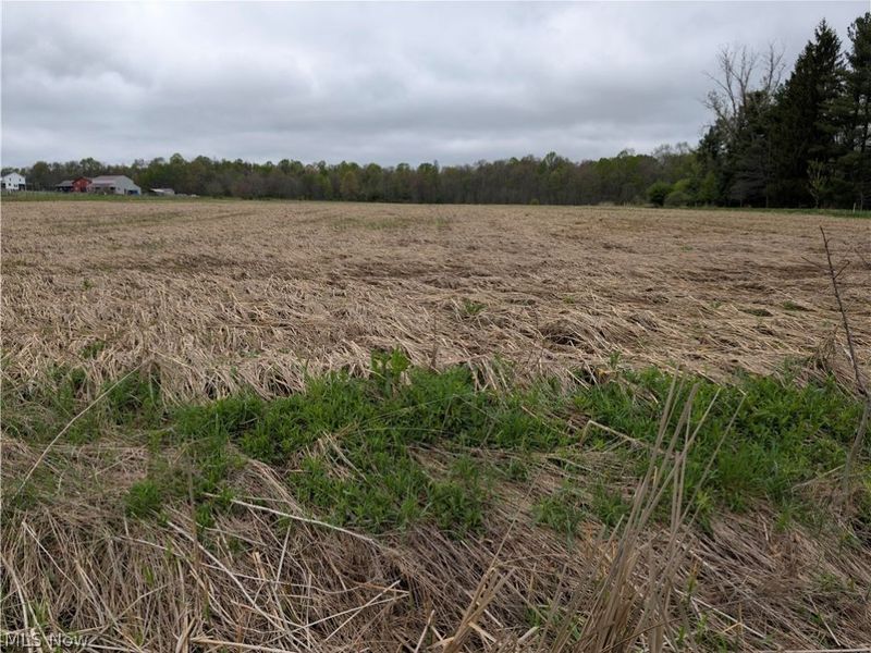 Center Road, Nelson, OH 44231 Photo 3