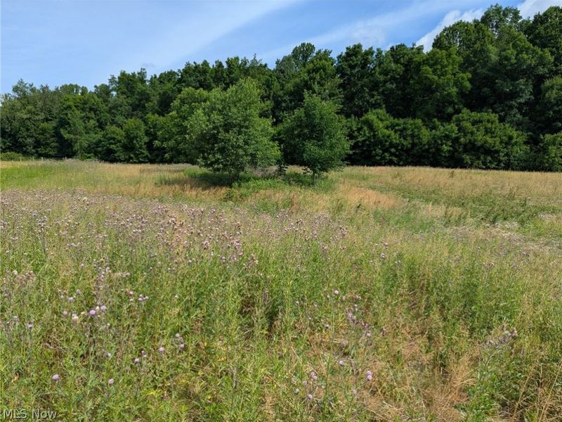 Center Road, Nelson, OH 44231 Photo 7