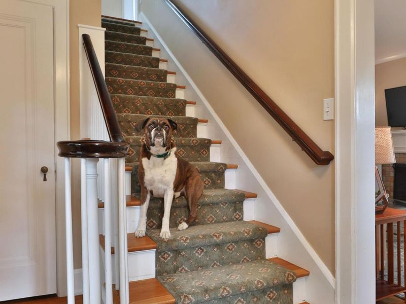 66 S Cassingham Road , Bexley, OH 43209 Photo 28