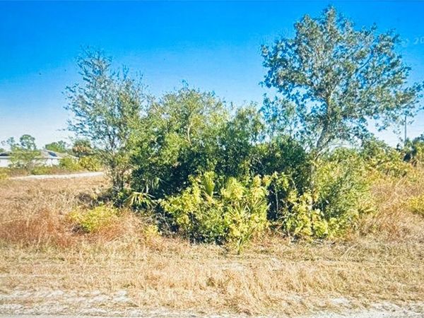 3333 MEADOW ROAD , LEHIGH ACRES, FL 33974