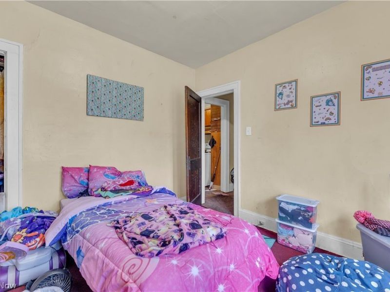 15816 Grovewood Avenue, Cleveland, OH 44110 Photo 30