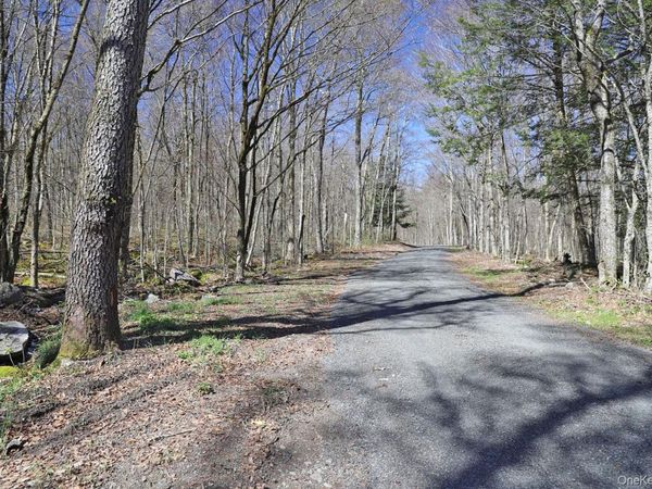 Bethlehem Road , Callicoon Center, NY 12724