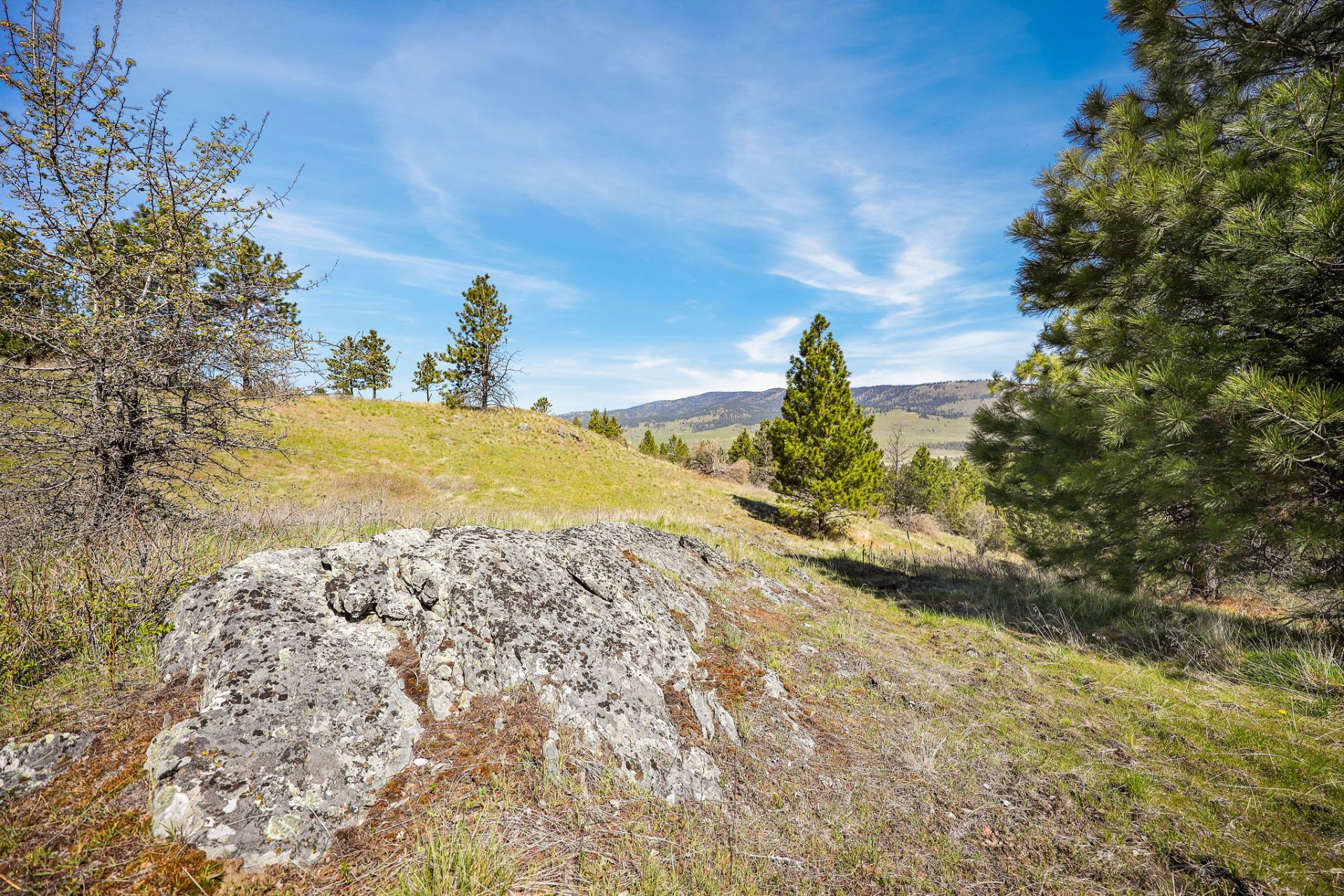 Nhn Chief Cliff Lane , Dayton, MT 59914 Main Photo