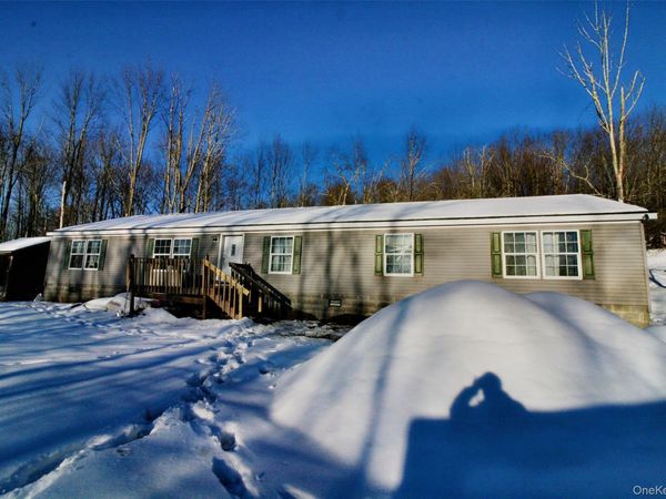 76 Parks Road , Livingston Manor, NY 12758