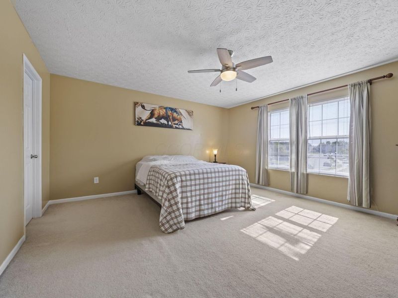 3943 Sugarbark Drive, Canal Winchester, OH 43110 Photo 22