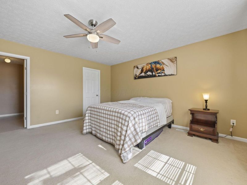 3943 Sugarbark Drive, Canal Winchester, OH 43110 Photo 23