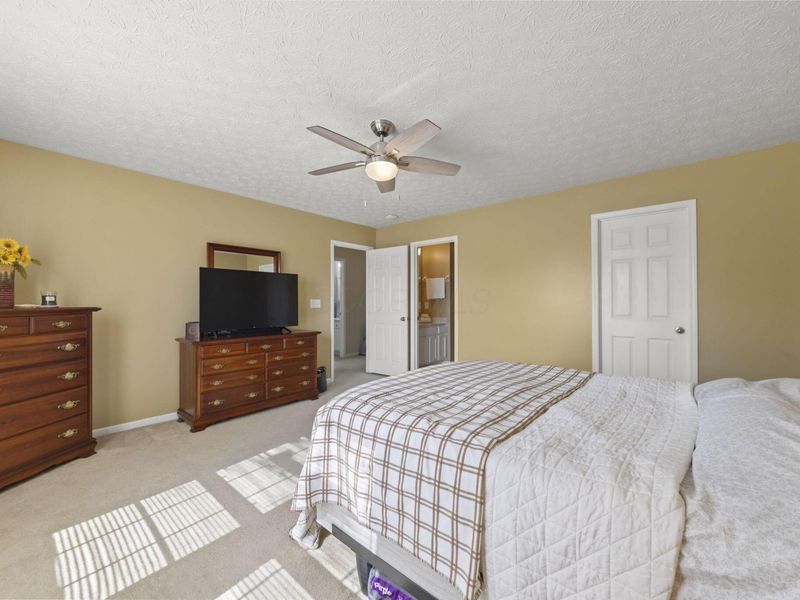 3943 Sugarbark Drive, Canal Winchester, OH 43110 Photo 24