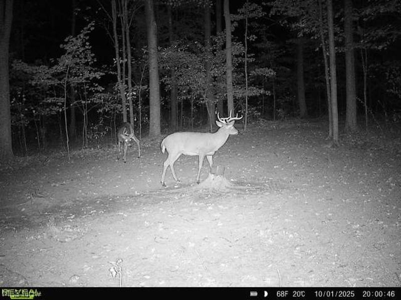 2315 Howland Wilson Road, Cortland, OH 44410 Photo 35