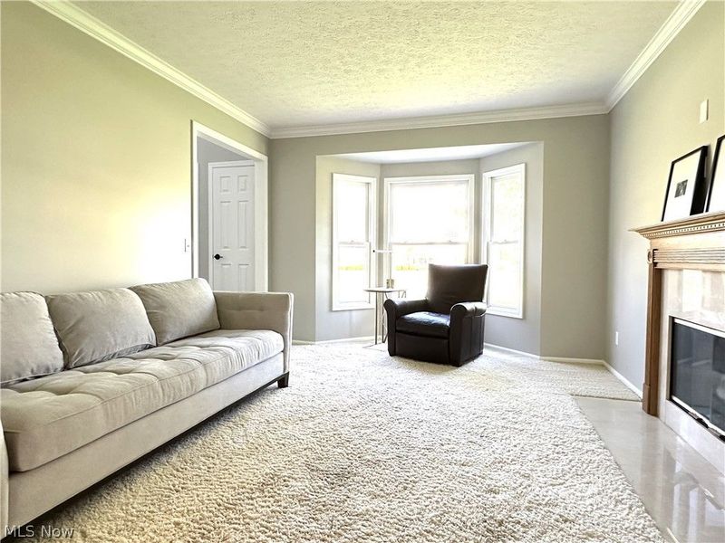 723 Sawmill Drive , Avon Lake, OH 44012 Photo 11