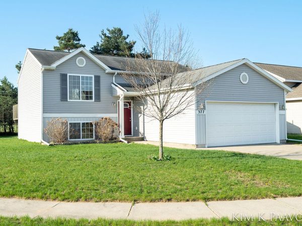 377 White Pine Court, Belding, MI 48809