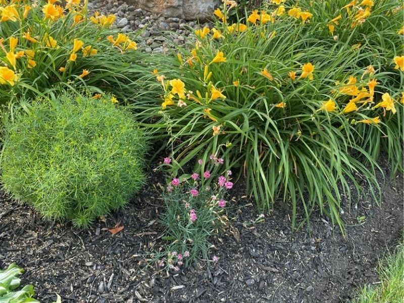 9060 Bluejay Lane , Mentor, OH 44060 Photo 31