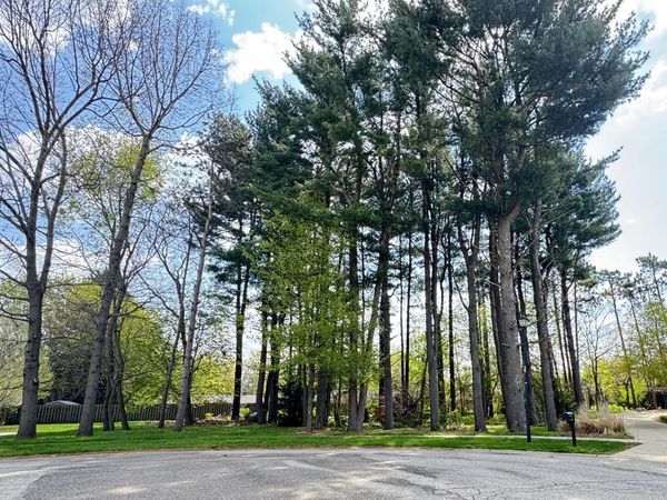 1912 Hidden Pines Trail, Stevensville, MI 49127