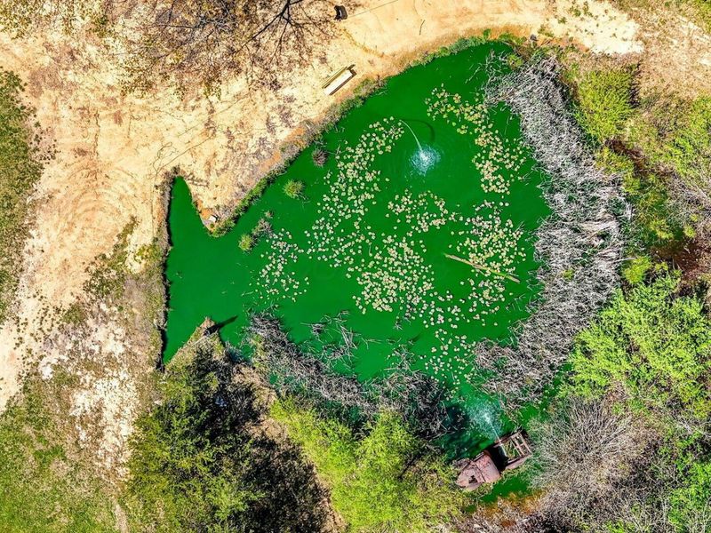 6939 Pattonsville Road, Jackson, OH 45640 Photo 68