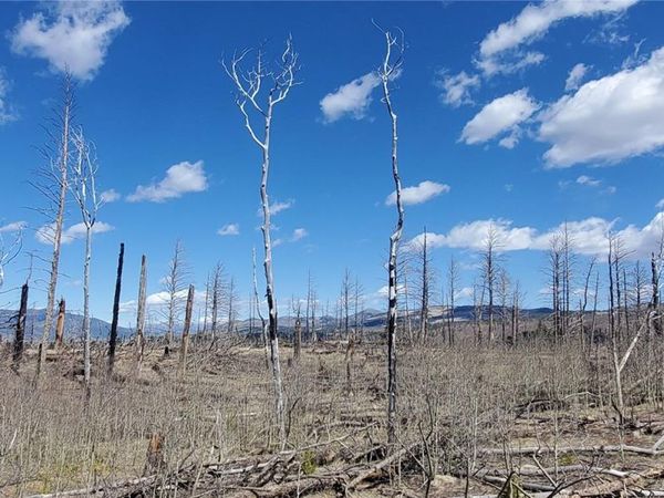 lot 1228 Granville Loop , Fort Garland, CO 81133