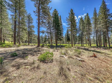 8860 George Whittell, Truckee, CA 96161 Photo