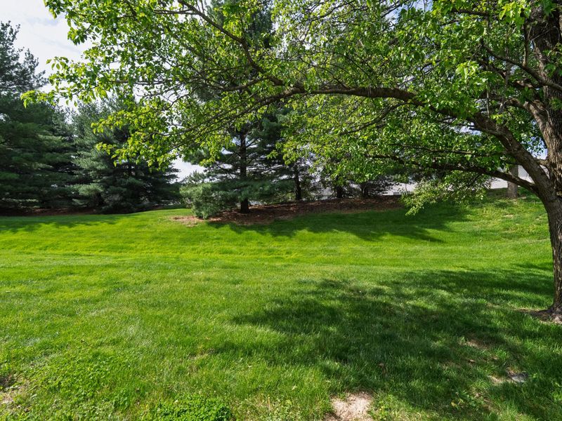 967 Augusta Court, Union, KY 41091 Photo 26