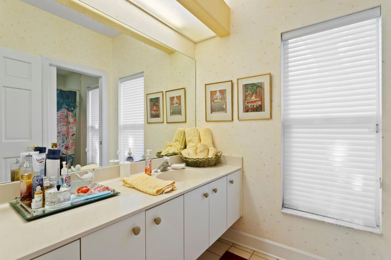7361 Watersilk Drive, Pinellas Park, FL 33782 Photo