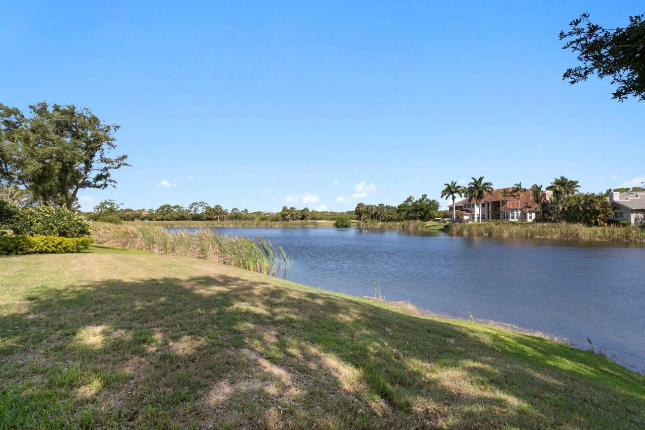 7361 Watersilk Drive, Pinellas Park, FL 33782 Photo