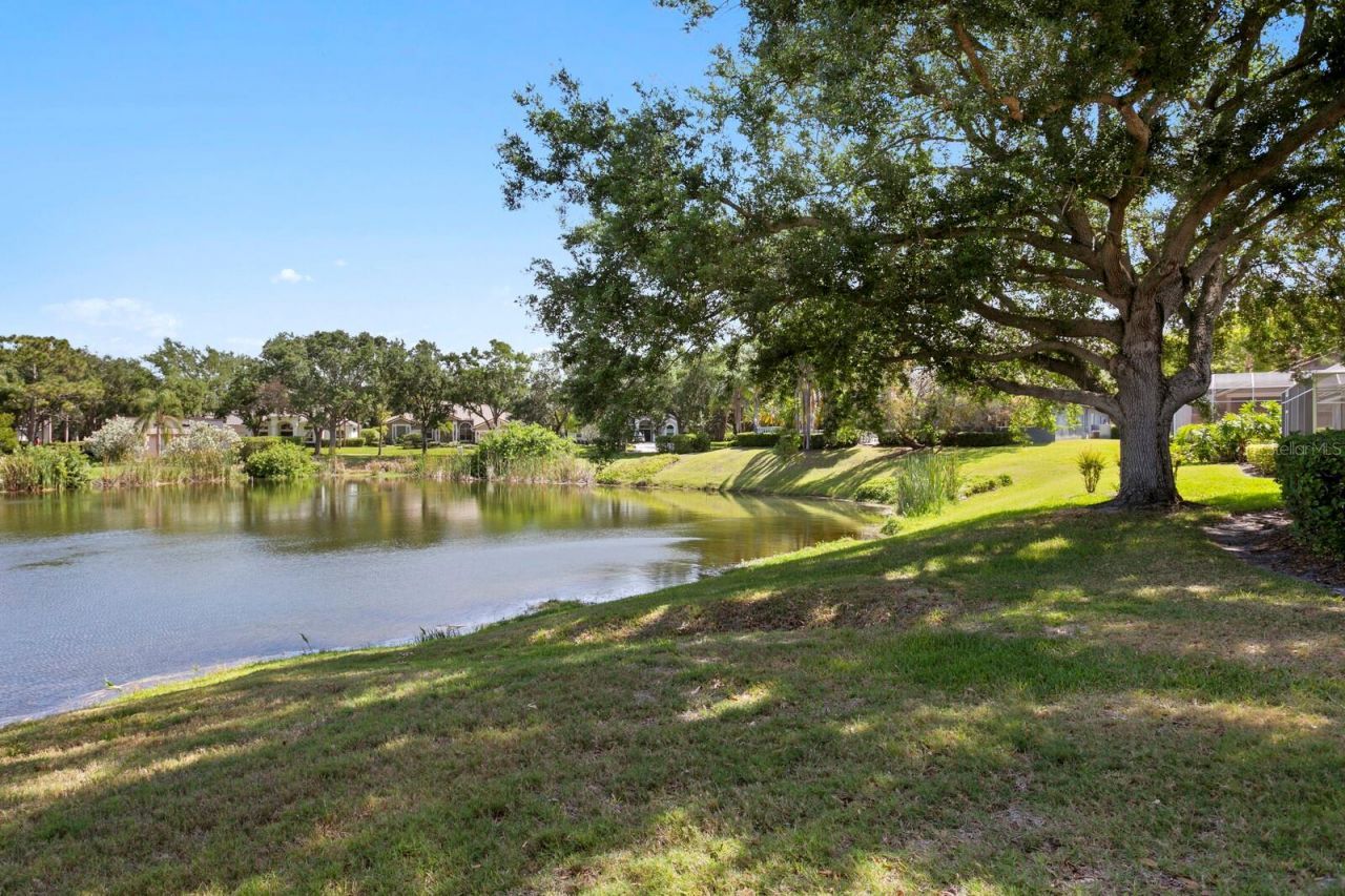 7361 Watersilk Drive, Pinellas Park, FL 33782 Photo
