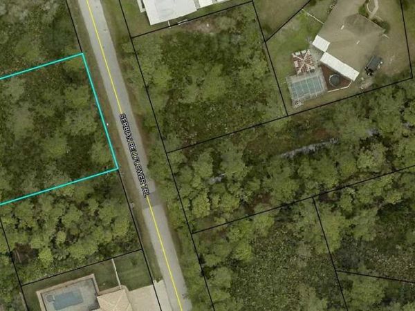 32 SERBIAN BELLFLOWER TRAIL , PALM COAST, FL 32164