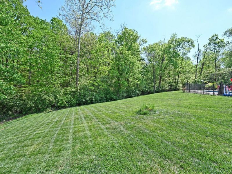 1539 Woodbridge Court, Cincinnati, OH 45240 Photo 69