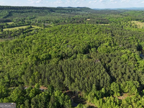 1218 Johnson Cemetery Road (29 +/-Acres), Lyerly, GA 30730