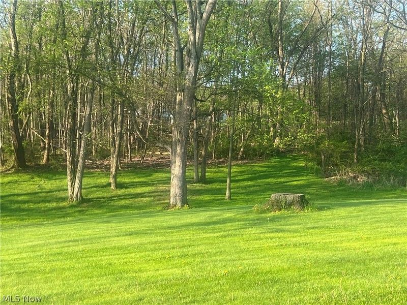 2787 Eastern Road , Rittman, OH 44270 Photo 14