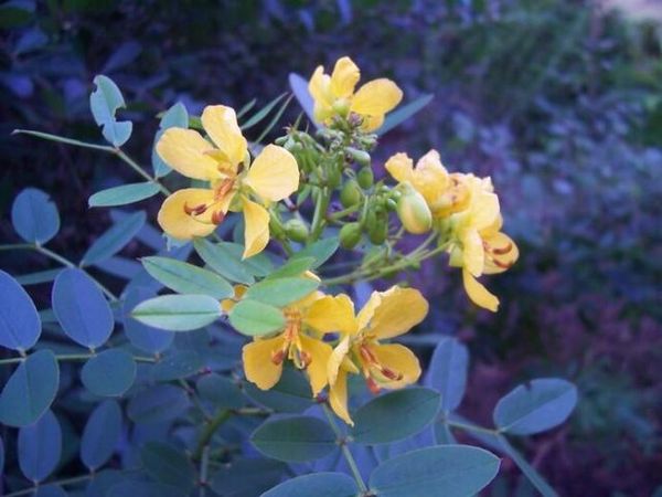 6400 Three Lakes Lane, Boynton Beach, FL 33437