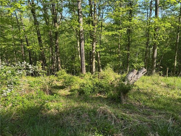 0 Woodfield Lane, Charleston, WV 25314