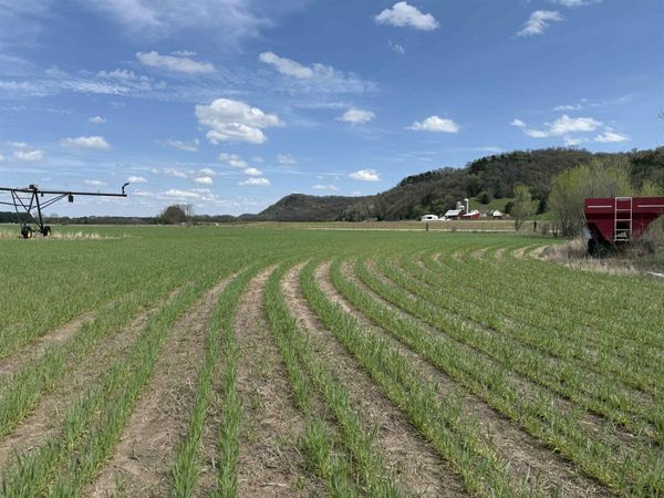 0 Highway G, Muscoda, WI 53573