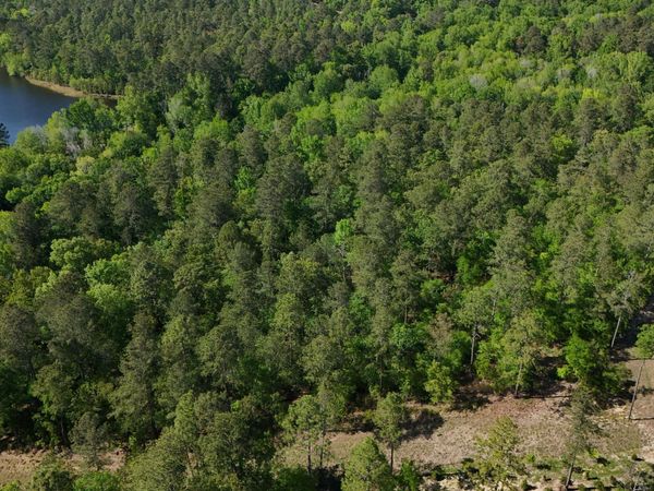 0 Lot 55 Pasture Creek Lane, Aiken, SC 29803