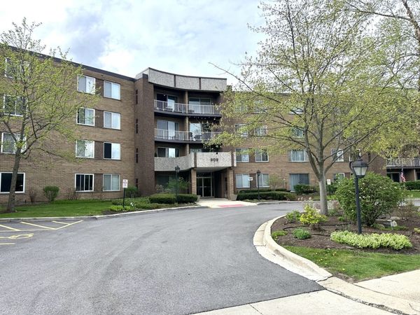 909 E Kenilworth Avenue, Unit 420, Palatine, IL 60074