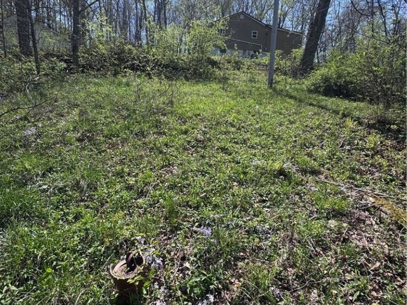 397 S Elliott Road, Stockport, OH 43787 Photo 16
