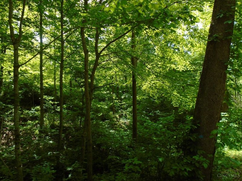 0 Rischforth Road, Jackson Twp, OH 45168 Photo 7