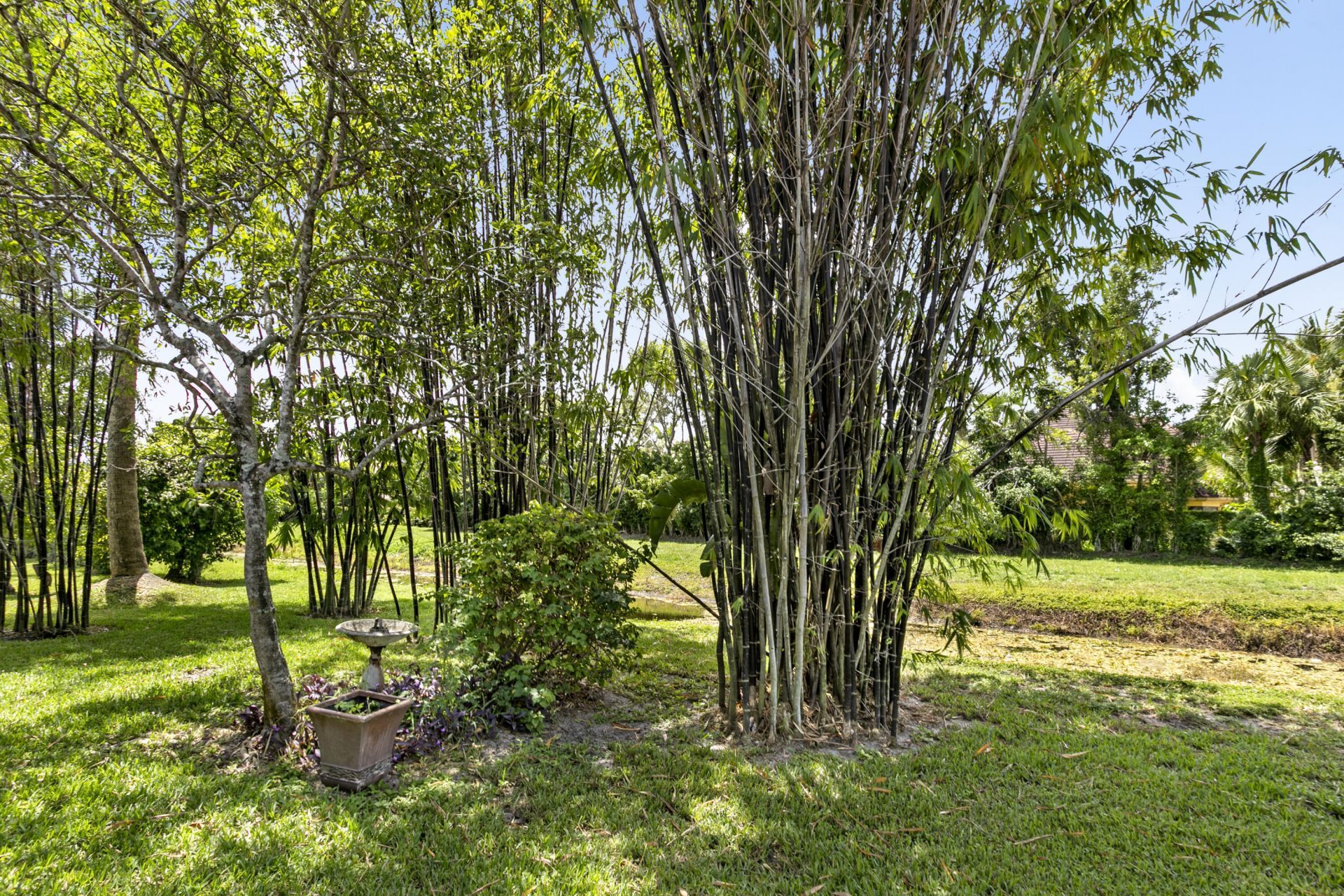 3366 Harness Circle, Wellington, FL 33449 Photo