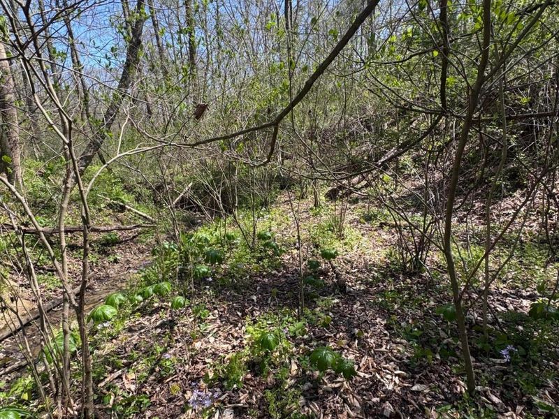 397 S Elliott Road, Malta, OH 43758 Photo 25