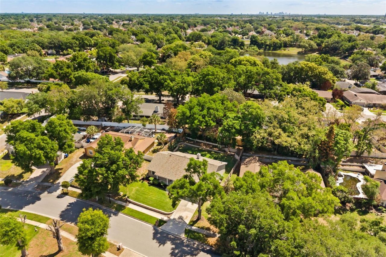925 Red Dandy Drive, Orlando, FL 32818 Photo