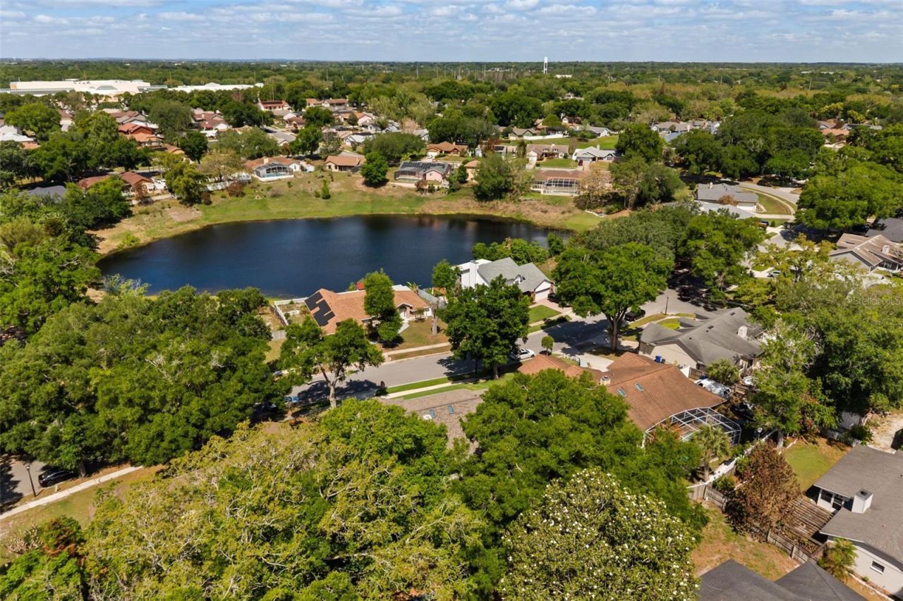 925 Red Dandy Drive, Orlando, FL 32818 Photo