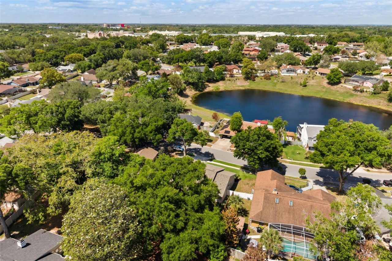 925 Red Dandy Drive, Orlando, FL 32818 Photo