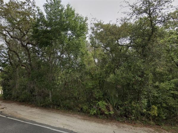 NE 154TH PLACE , FORT MC COY, FL 32134