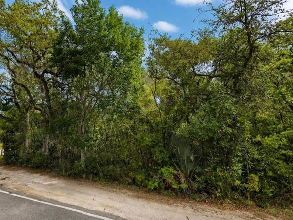 NE 154TH PLACE, FORT MC COY, FL 32134