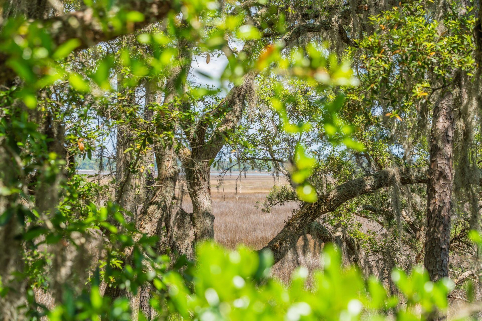 2690 Colonel Harrison Drive Photo 73