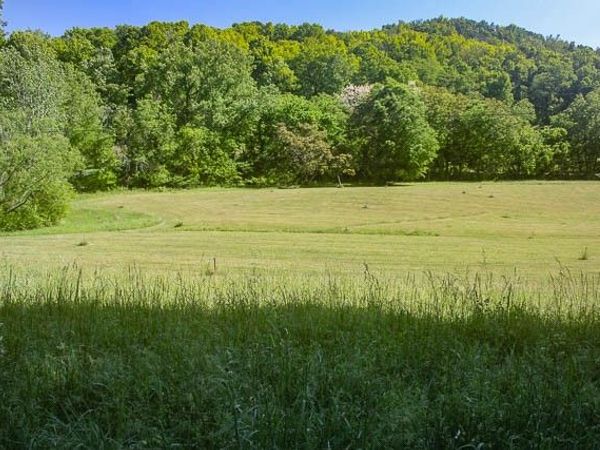 0 Harpeth Peytonsville Rd, Thompsons Station, TN 37179