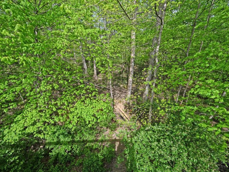 4621 Hallandale Drive, Union Twp, OH 45103 Photo 53