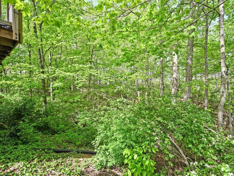 4621 Hallandale Drive, Union Twp, OH 45103 Photo 58