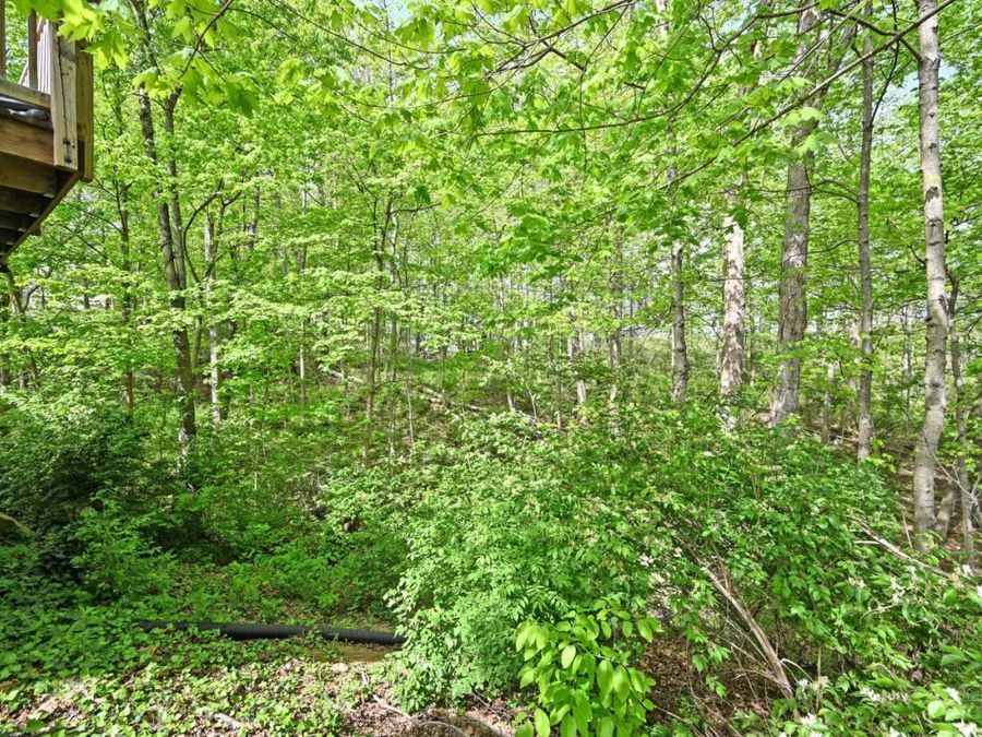 Property Image 59