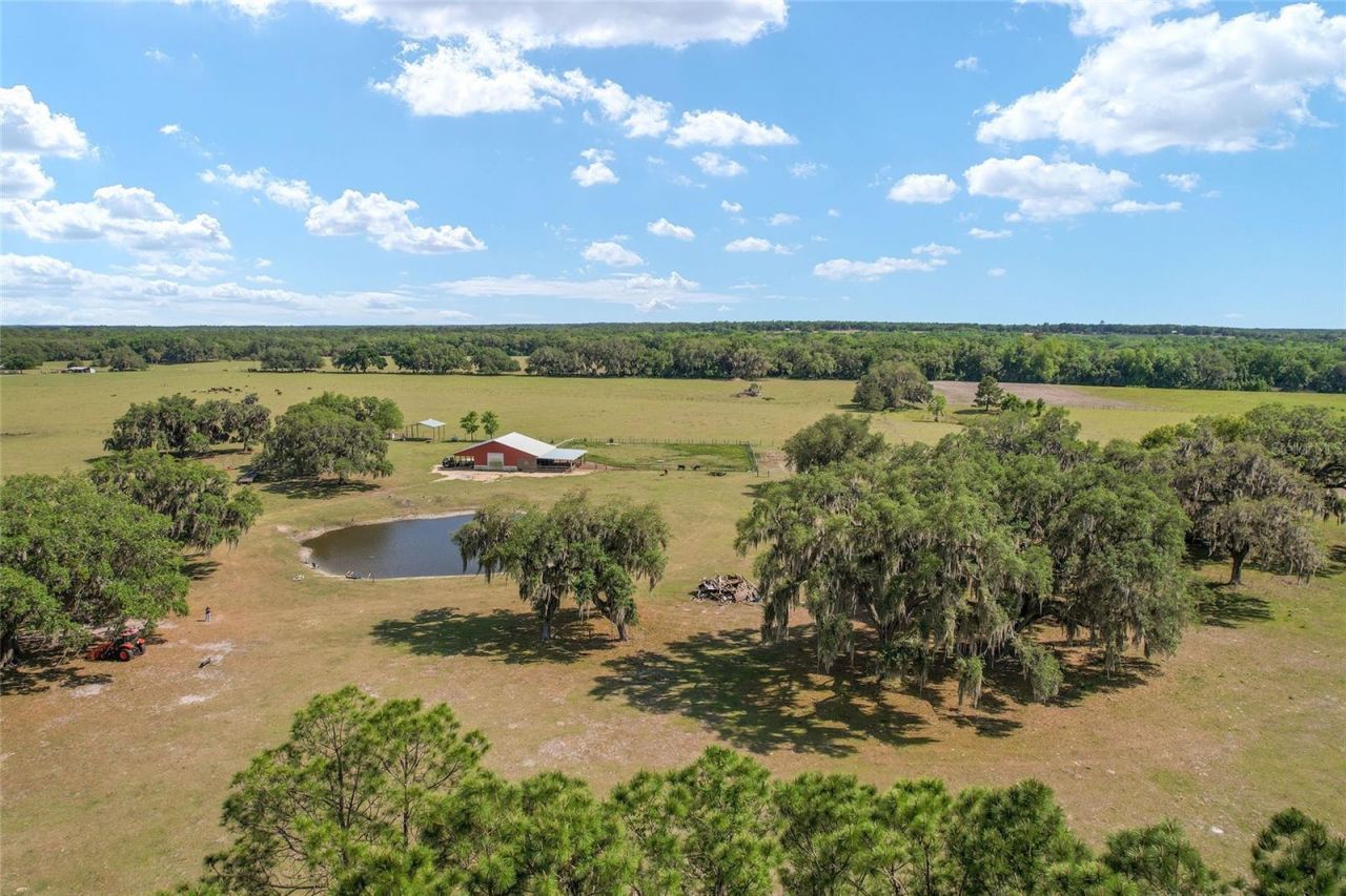 15120 SE 85th Street, Ocklawaha, FL 32179 Photo