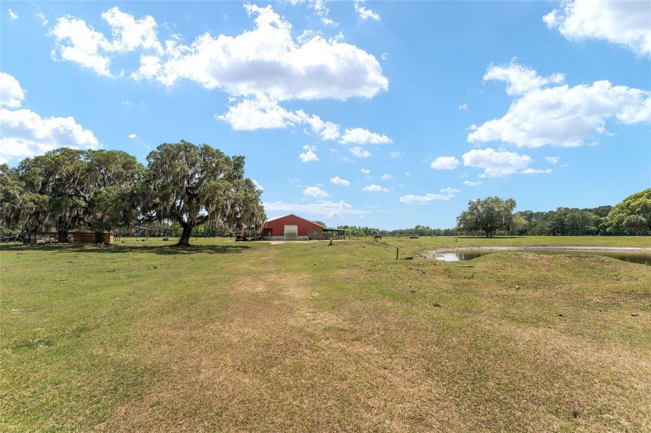 15120 SE 85th Street, Ocklawaha, FL 32179 Photo
