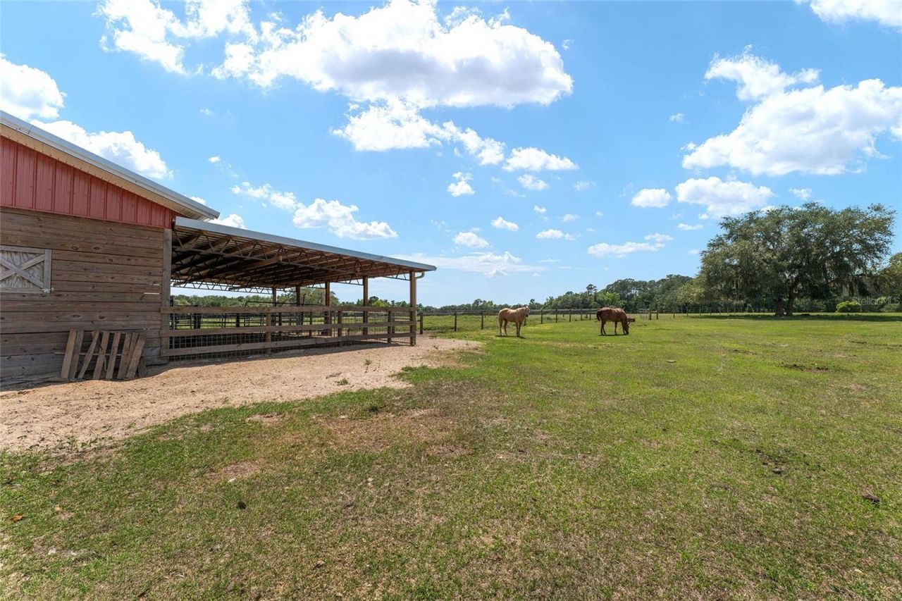 15120 SE 85th Street, Ocklawaha, FL 32179 Photo