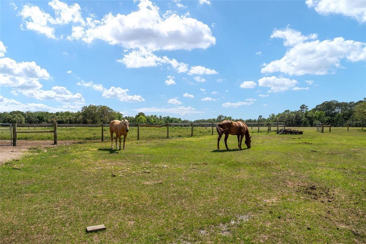 15120 SE 85th Street, Ocklawaha, FL 32179 Photo